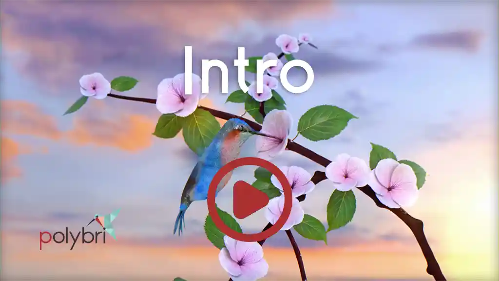 polybri Logo Intro Startbild